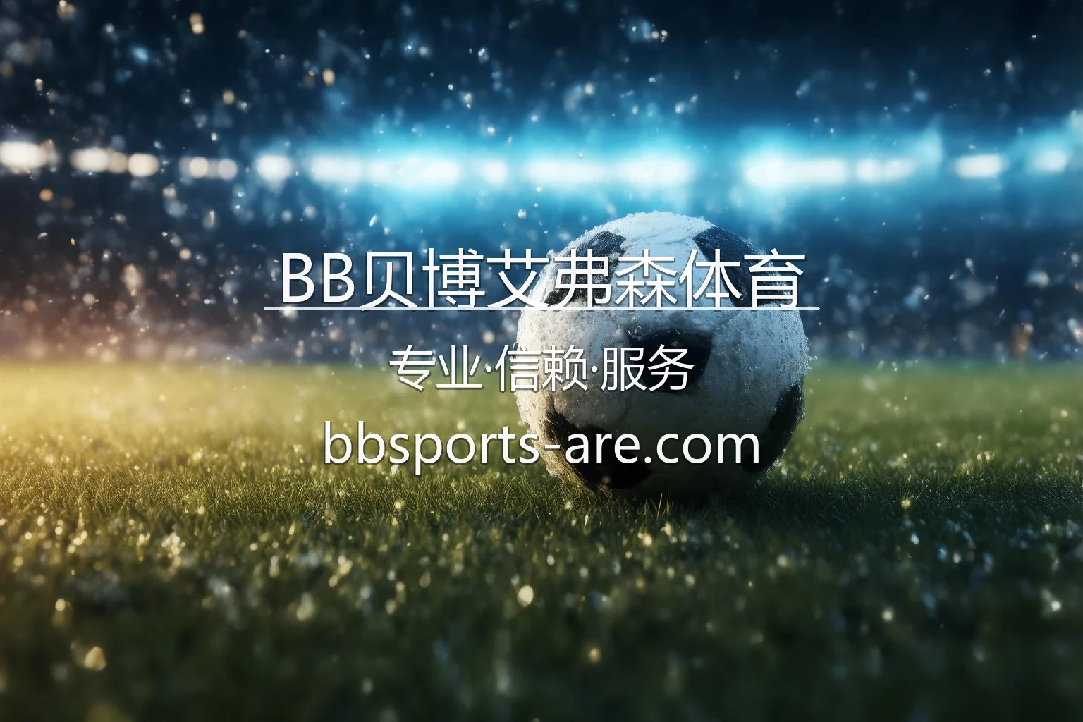 BB贝博艾弗森体育官方形象大图