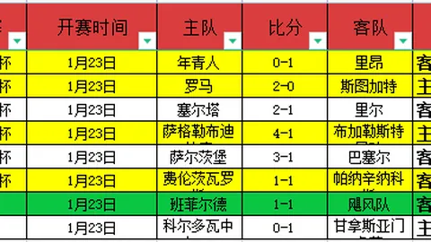 火箭常规赛败北掘金