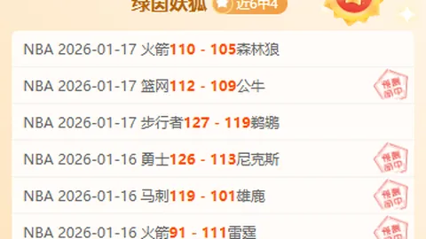 BB贝博艾弗森体育